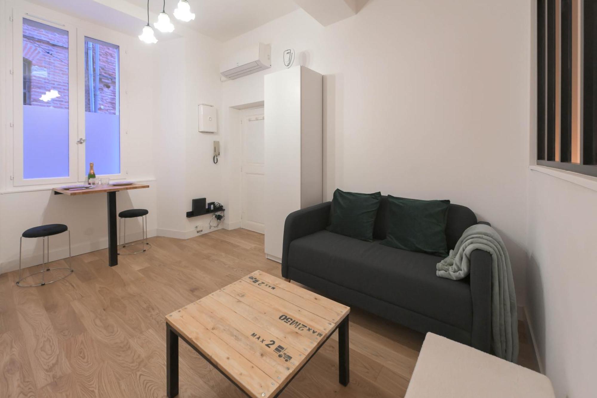 Appartement T1 Bis L'Enfilade Albi Bagian luar foto